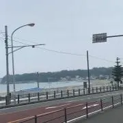 Tsutabaraの画像