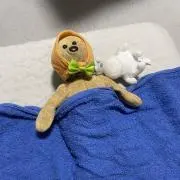 AOKIの画像