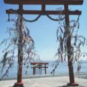 ととの画像