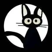 するめの画像
