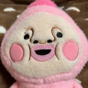 ぽこちゃんの画像