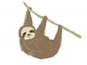 フラワーの画像