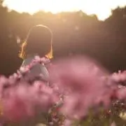 Mの画像
