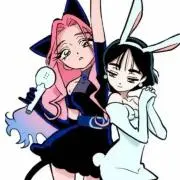 柚子の画像