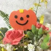 るぴ☆プロフ必読
