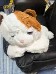 ちゃー！の画像