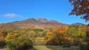 いわまさの画像