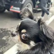 Ayakightの画像
