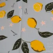 まりもの画像