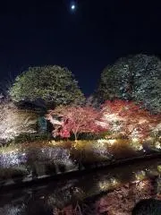 ひですけの画像