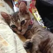 あーちん