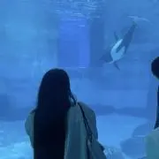 なつ★断捨離中‼︎の画像