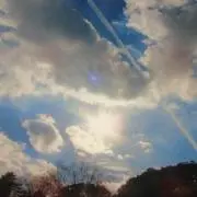 まりも