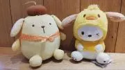 まろまろの画像