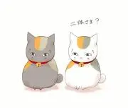 ねこ