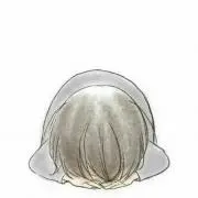 す