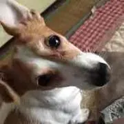 西塚祐樹