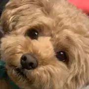 みっちゃんの画像