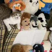 こまつ☆プロフィールよく読んでください