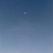 Rの画像