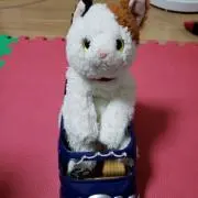 ミケ(=゜ω゜=)