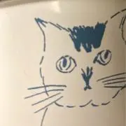 ピピの画像