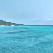 じまじまの画像