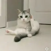 まや