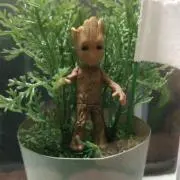 44の画像