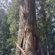 mi-の画像