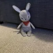 チェリの画像