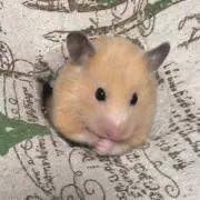 ＊まま＊