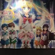 ♡ねこ娘♡ 即購入可⭕️プロフ確認推奨の画像