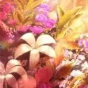 ぴょん まとめ売り可能ですの画像