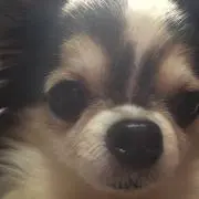 PhootoN＊の画像