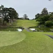 ムーミンの画像