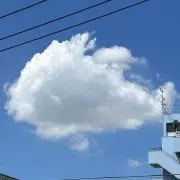 kurikuriの画像