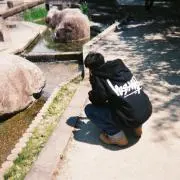 ほたの画像