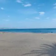 dollyの画像