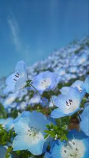 スマイル