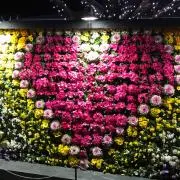 (*´-`)