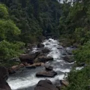 n.kの画像