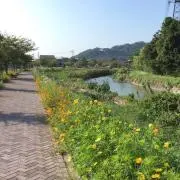 Yoshiの画像