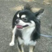 まめママ