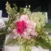 愛菜(^^)掘り出し物見つけちゃいました