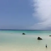 あにゅ