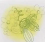 しずく♡