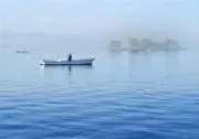 daiの画像