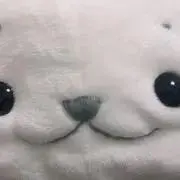 フライヤー