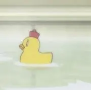 ちゃの画像